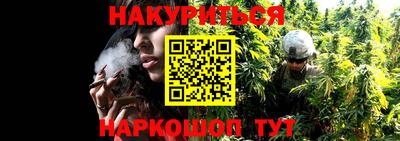 ПСИЛОЦИБИНОВЫЕ ГРИБЫ Аргун