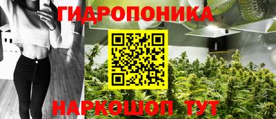 ПСИЛОЦИБИНОВЫЕ ГРИБЫ Аргун