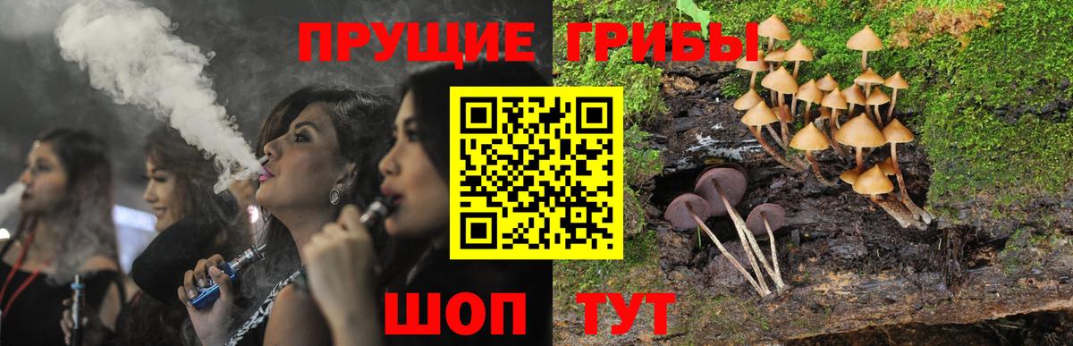 Берёзовский  что такое   Вход с VPN  Галлюциногенные грибы Cubensis 